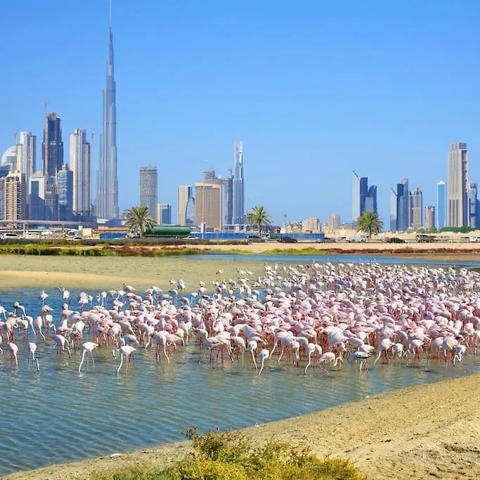 Luxury 42-Floor 1Br Flat In Harbour Views Lägenhet Dubai